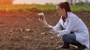 Advantages of the 12-Inch Soil Probe for Soil Testing