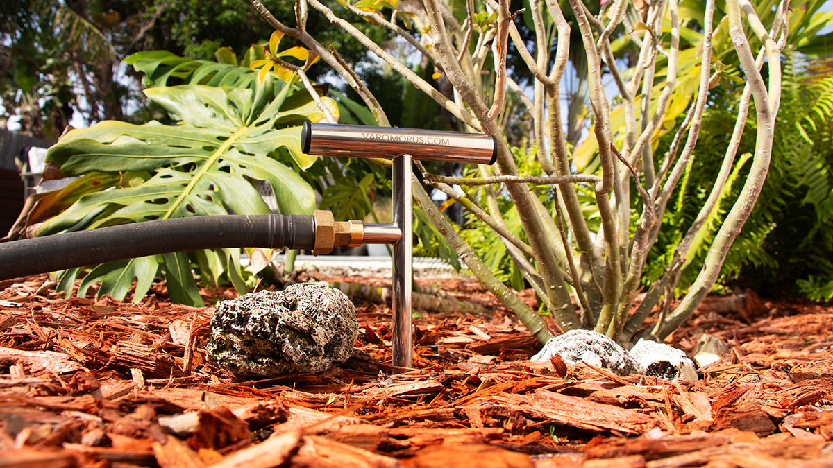 How to Deep Water Trees with Irrigation Tools for Healthy Roots ...